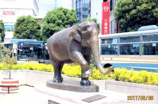 JR吉祥寺駅前の「はな子」の銅像。高さ約1.5メートル、全長約2.5メートル。「ふっくらとした50歳代のはな子が、嬉しい時に鼻と前脚を上げるポーズ」（原型制作者・笛田亜希さんの言/毎日新聞2017年5月5日）が再現された。（写真撮影：吉川和夫）