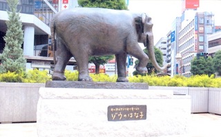 銅像の銘板には「井の頭自然文化園で愛された　ゾウのはな子」と刻まれている（写真撮影：吉川和夫）