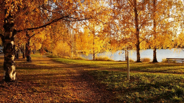 秋のコケマキ河畔