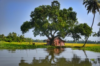 ケーララ州の風景