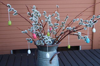 柳の小枝で活け花