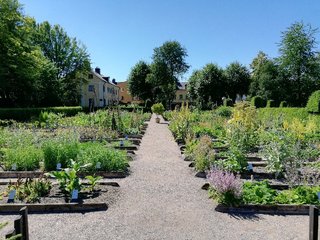 リンネ植物園
