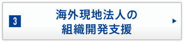 海外現地法人の組織開発支援