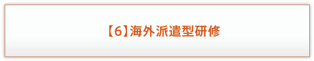 【6】海外派遣型研修